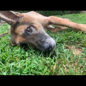 Meet your Posher, Sidney